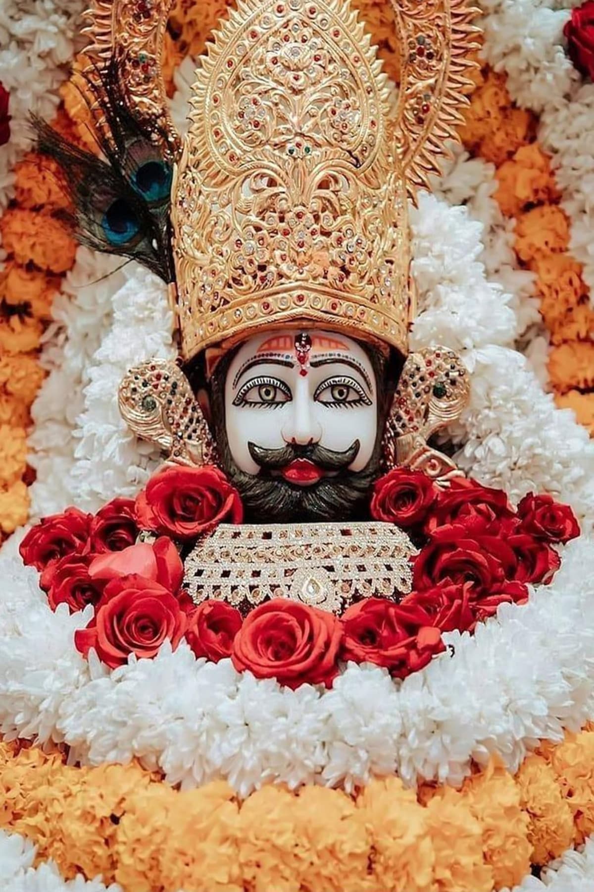 Khatu Shyam Ji Darshan